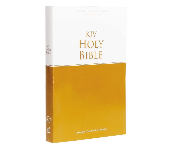 KJV Holy Bible: Economy Paperback (REDUCED)
