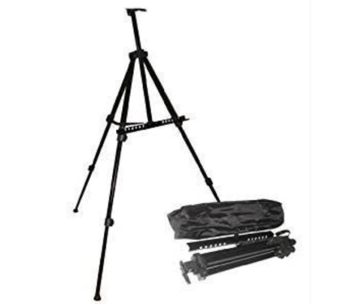 Easel w/ Carry Case