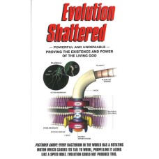 Evolution Shattered