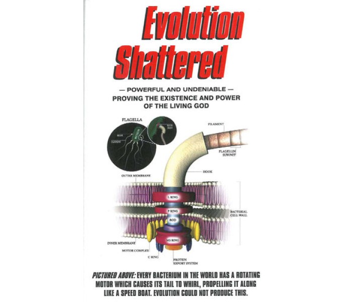 Evolution Shattered