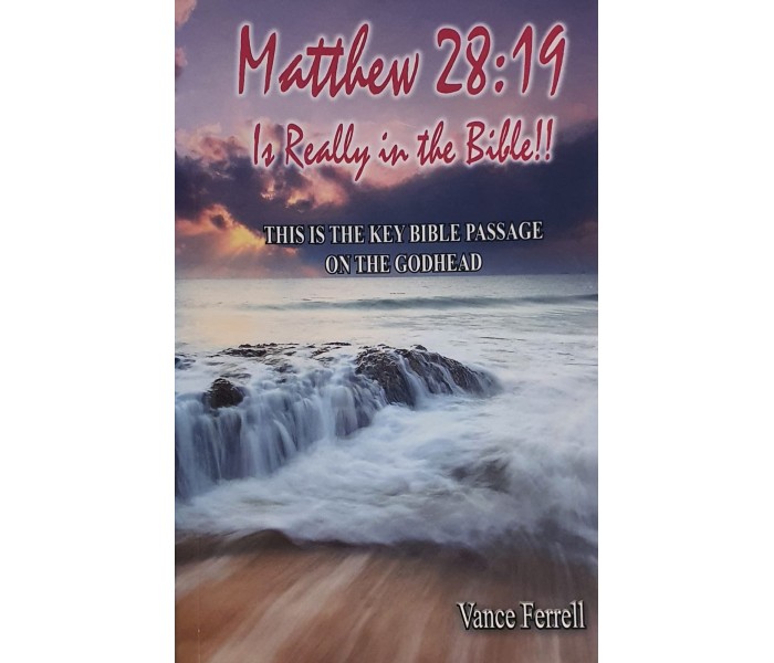 Mathew 28:19 Is it really in the bible?