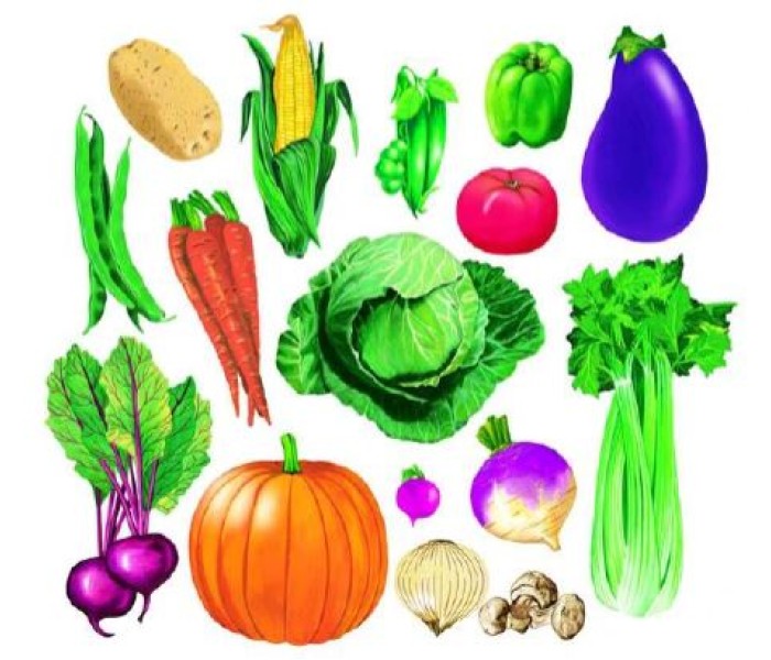 Vegetables 22315