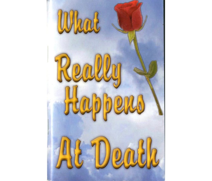 What really happens after death (Box of 164) What really happens after death (Box of 164)
